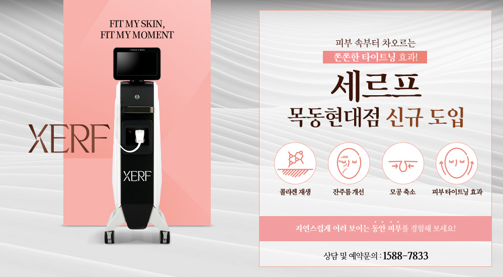 세르프 신규 도입