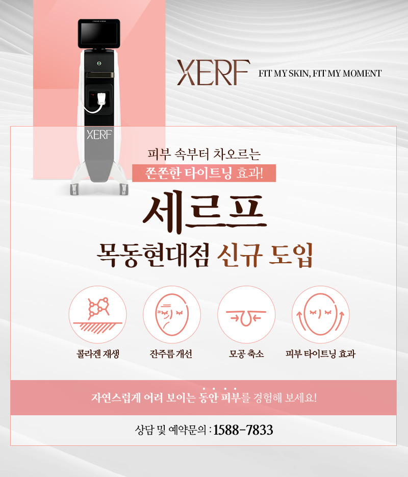 세르프 신규 도입