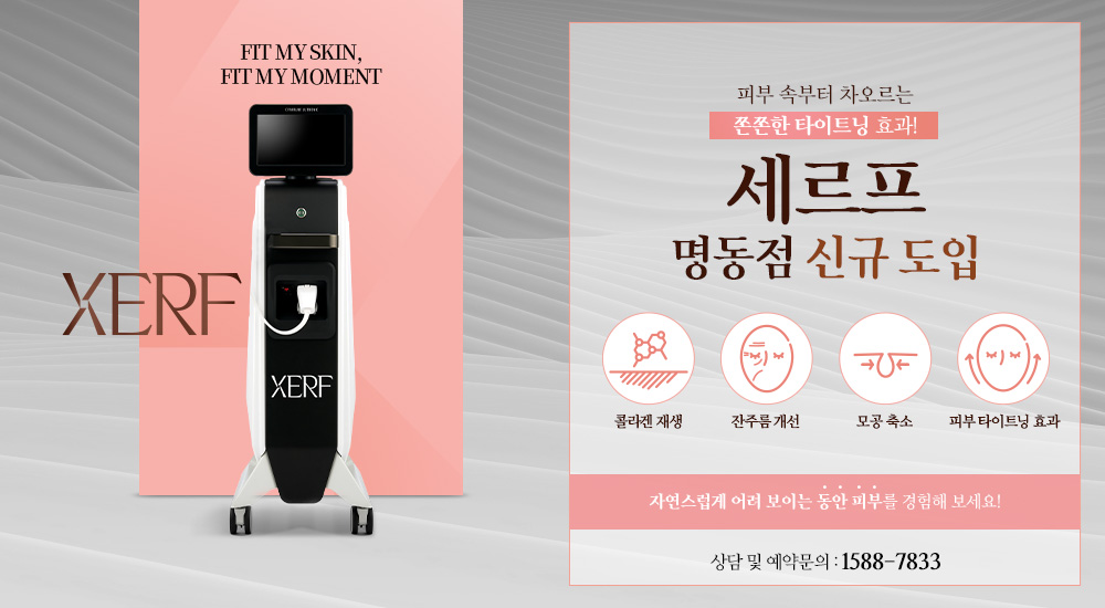 세르프 신규 도입