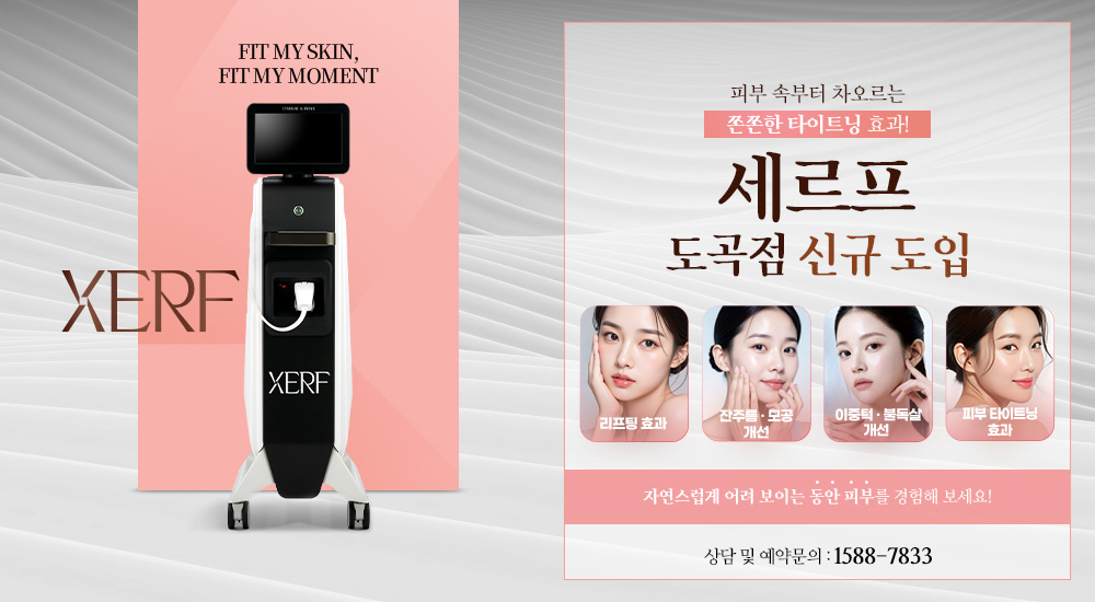 세르프 신규 도입