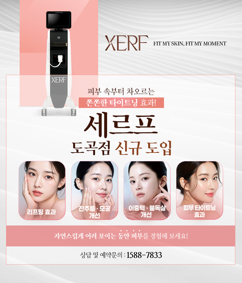 세르프 신규 도입