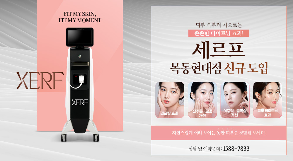 세르프 신규 도입