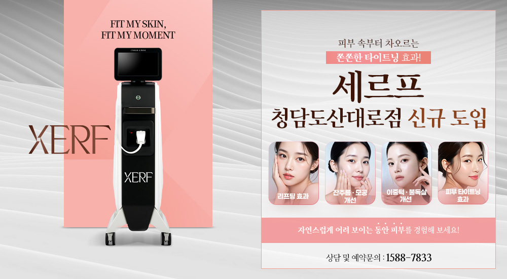 세르프 신규 도입