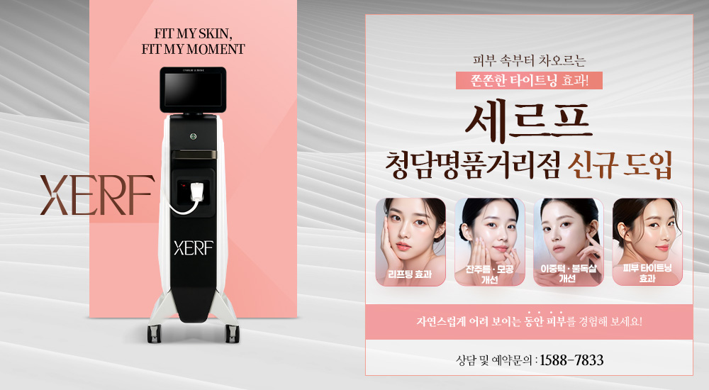 세르프 신규 도입