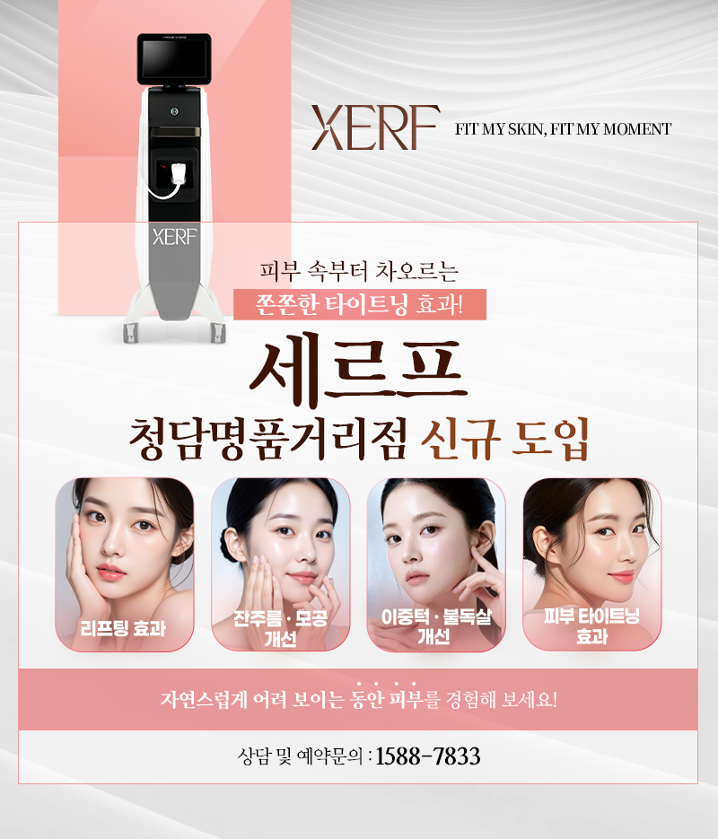 세르프 신규 도입