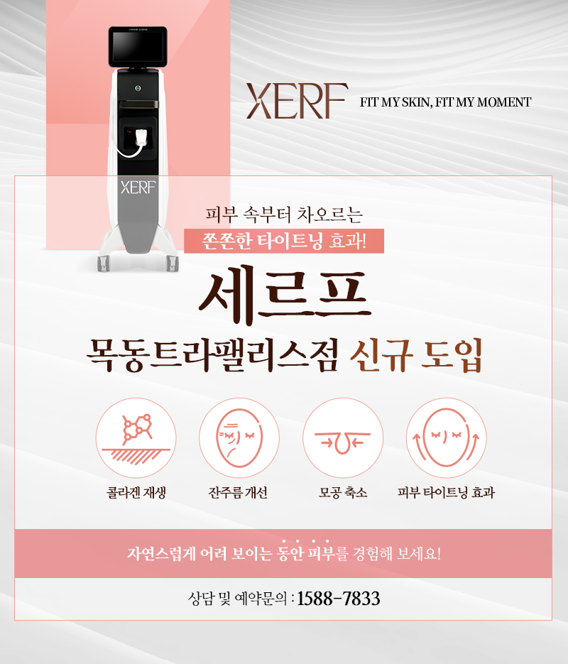 세르프 신규 도입