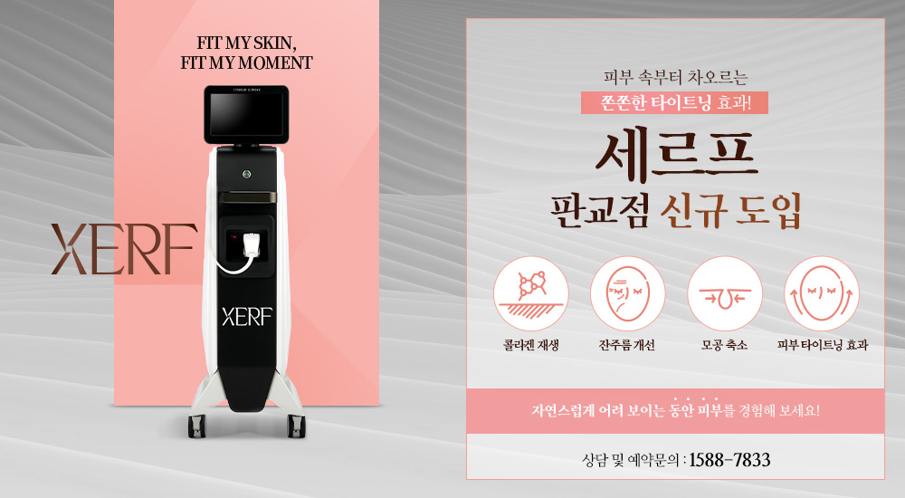 세르프 신규 도입