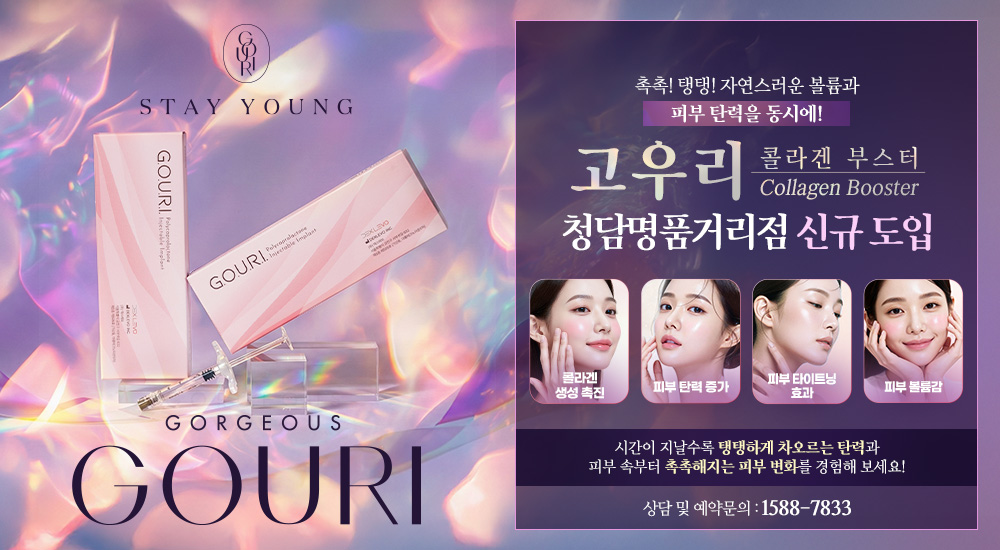 고우리 신규 도입